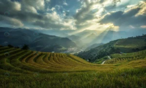 rice fields terraced mu cang chai yenbai vietnam crcd352b4cf size13.70mb 6000x3639 - title:Home - اورچین فایل - format: - sku: - keywords: p_id:18