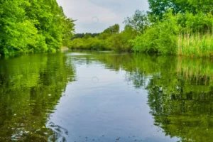 river landscape green forest with trees blue water rnd760 frp26533173 - title:Home - اورچین فایل - format: - sku: - keywords: p_id:18