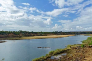 river national park crca5073d4b size8.66mb 4592x3056 - title:Home - اورچین فایل - format: - sku: - keywords: p_id:18