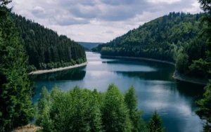 river surrounded by forests cloudy sky thuringia crcd060ca0e size8.88mb 4381x2738 1 - title:Home - اورچین فایل - format: - sku: - keywords: p_id:18