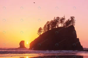 scenic rigorous pacific coast olympic national pa crc813ce8fb size17.14mb 5760x3840 - title:Home - اورچین فایل - format: - sku: - keywords: p_id:18