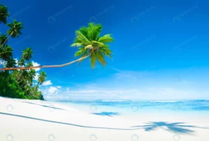 scenic white sand beach summer tree concept crcf951b1fc size14.47mb 6000x4030 - title:Home - اورچین فایل - format: - sku: - keywords: p_id:18