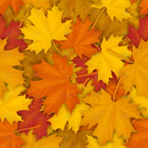 seamless pattern with autumn fallen maple leaves. crc4554039b size8.54mb - title:Home - اورچین فایل - format: - sku: - keywords: p_id:18