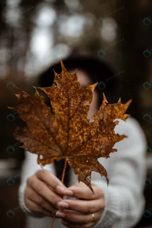 selective focus shot female hands holding golden crc0119fb7f size15.85mb 4000x6000 1 - title:Home - اورچین فایل - format: - sku: - keywords: p_id:18