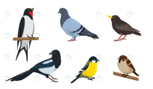 set different city birds illustrations designs wh crc94779748 size0.67mb 1 - title:Home - اورچین فایل - format: - sku: - keywords: p_id:18