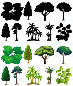 set plant tree with its silhouette 3 crc853cbbef size6.20mb - title:Home - اورچین فایل - format: - sku: - keywords: p_id:18