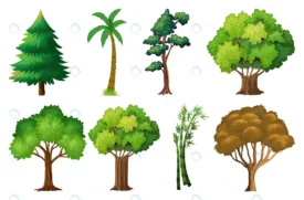 set variety plants trees crcfb603530 size5.43mb - title:Home Main - اورچین فایل - format: - sku: - keywords: p_id:18