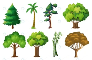 set variety plants trees crcfb603530 size5.43mb - title:Home - اورچین فایل - format: - sku: - keywords: p_id:18