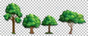 set various trees transparent background crcd0d8 crcd0d8be8f size5.18mb - title:Home - اورچین فایل - format: - sku: - keywords: p_id:18