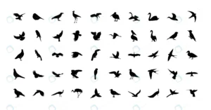 set wild birds templates black icons isolated crc6fb7841b size0.74mb - title:Home - اورچین فایل - format: - sku: - keywords: p_id:18