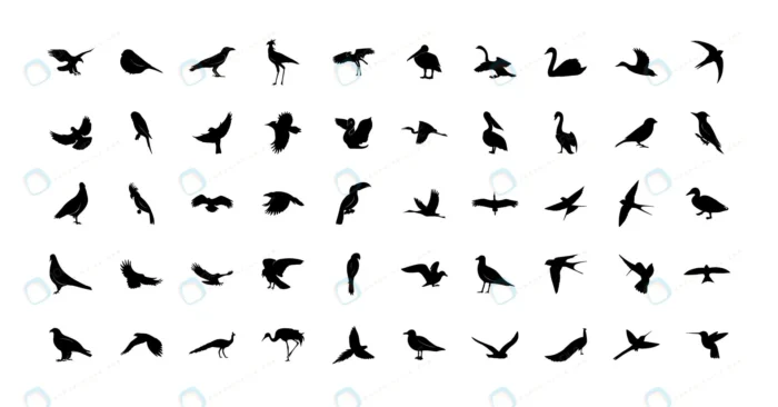 set wild birds templates black icons isolated crc6fb7841b size0.74mb - title:مجموعه سیلوئت پرندگان با فرمت وکتور - اورچین فایل - format:EPS - وکتور - sku:crc6fb7841b - keywords: p_id:86919