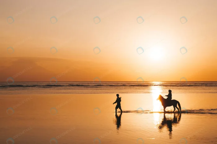 silhouette portrait young romantic couple riding crc8786d267 - title:سیلوئت زوج جوان با اسب کنار دریا - اورچین فایل - format:JPG - استوک - sku:crc8786d267 - keywords: p_id:75769