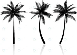 silhouettes palm trees crc665da257 size2.50mb - title:Home - اورچین فایل - format: - sku: - keywords: p_id:18