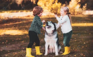 smiling little kids with dog walking autumn field crc17d4ee30 size9.56mb 5608x3444 - title:Home - اورچین فایل - format: - sku: - keywords: p_id:18