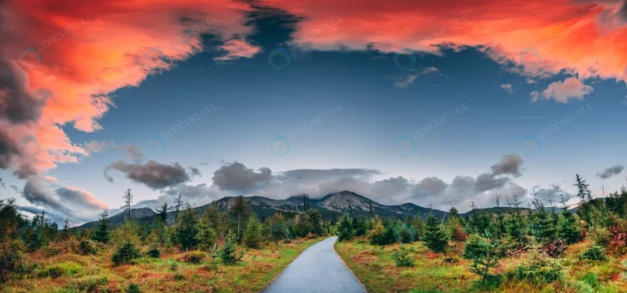 spectacular scenery pedestrian road green valley crc39eab708 - title:عکس جاده از میان دشت سبز - اورچین فایل - format:JPG - استوک - sku:crc39eab708 - keywords: p_id:59339