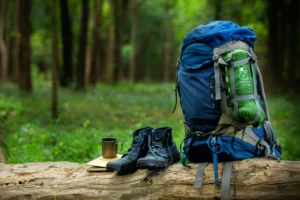 sport shoes backpack color blue timber forest crc6ab7bfc2 size14.40mb 5760x3840 - title:Home - اورچین فایل - format: - sku: - keywords: p_id:18