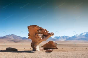 stone tree arbol de piedra plateau altiplano boliv rnd377 frp20921847 - title:Home - اورچین فایل - format: - sku: - keywords: p_id:18