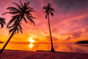 sunset time tropical beach sea with coconut palm crc6b602851 size12.95mb 6000x4000 - title:Home - اورچین فایل - format: - sku: - keywords: p_id:18