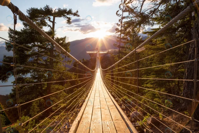 suspension bridge top mountain squamish rnd776 frp27547185 - title:تصویر پل معلق بر بالای جنگل - اورچین فایل - format:JPG - استوک - sku:frp27547185 - keywords: p_id:69455