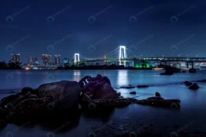 tokyo skyline with rainbow bridge tokyo tower tok crcc962fe2a size5.47mb 4928x3280 - title:Home - اورچین فایل - format: - sku: - keywords: p_id:18