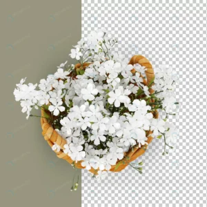 top view flower basket 3d rendering crc5efe27e6 size8.38mb - title:Home - اورچین فایل - format: - sku: - keywords: p_id:18