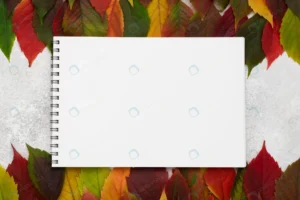 top view selection autumn leaves with notebook crc48e15fc2 size1.11mb 5460x3645 - title:Home - اورچین فایل - format: - sku: - keywords: p_id:18