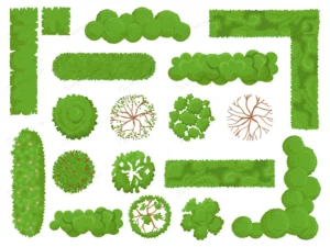 top view trees bushes forest tree green park bush crc07d6beb2 size5.80mb - title:Home - اورچین فایل - format: - sku: - keywords: p_id:18