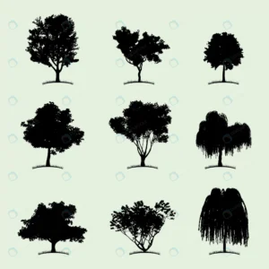 tree collection flat icon with nine different kin crcaf28555d size7.04mb - title:Home - اورچین فایل - format: - sku: - keywords: p_id:18