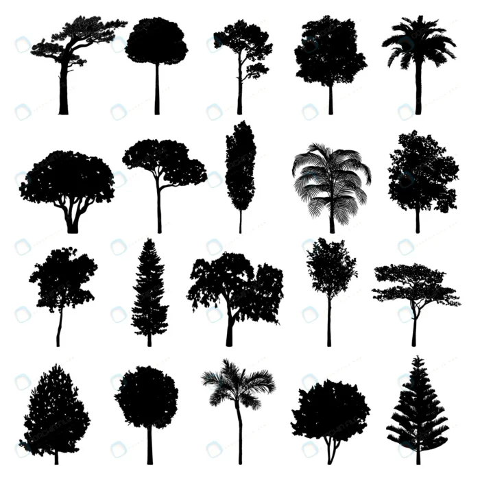 tree silhouette collection crc7e077dc3 size7.17mb - title:مجموعه سیلوئت انواع درخت با فرمت وکتور - اورچین فایل - format:EPS - وکتور - sku:crc7e077dc3 - keywords: p_id:85291