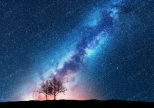 trees against starry sky with milky way crc4dceab43 size49.22mb 7200x5059 - title:Home - اورچین فایل - format: - sku: - keywords: p_id:18