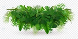 tropical leaves palm branch realistic composition crcd4c10fb4 size11.39mb - title:Home Main - اورچین فایل - format: - sku: - keywords: p_id:18