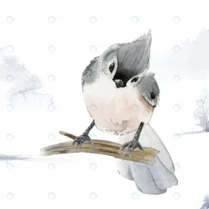tufted titmouse bird wintertime watercolor vector crcfb430c9d size7.29mb 1 - title:Home - اورچین فایل - format: - sku: - keywords: p_id:18