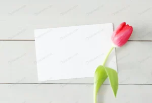 tulip with blank white greeting card crc9a562e20 size5.62mb 4876x3316 - title:Home - اورچین فایل - format: - sku: - keywords: p_id:18