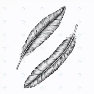 two hand drawn feathers vector crce593805f size10.44mb 1 - title:Home - اورچین فایل - format: - sku: - keywords: p_id:18