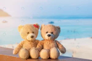 two teddy bears sitting sea view love relationshi crcad5b0b83 size8.59mb 6000x4000 - title:Home - اورچین فایل - format: - sku: - keywords: p_id:18