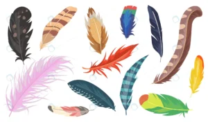 variety colorful feathers flat item set cartoon s crc74740e7c size2.64mb - title:Home - اورچین فایل - format: - sku: - keywords: p_id:18