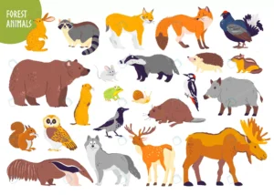 vector collection forest animals birds bear fox h crc32985de8 size9.74mb - title:Home - اورچین فایل - format: - sku: - keywords: p_id:18