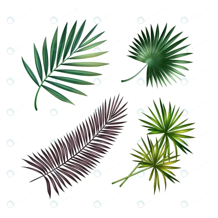 vector set green violet tropical palm leaves isol crca8c83ade size7.86mb - title:مجموعه برگ های استوایی و نخل خرما - اورچین فایل - format:EPS - وکتور - sku:crca8c83ade - keywords: p_id:87851