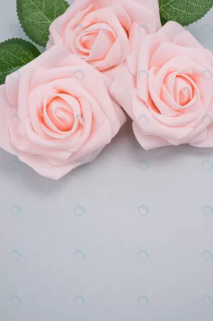 vertical closeup shot pink roses isolated blue ba crc0ef22c76 size4.77mb 2848x4288 - title:Home - اورچین فایل - format: - sku: - keywords: p_id:18