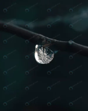 vertical shot water droplet freezing crcd833c80b size3.55mb 3200x4000 - title:Home - اورچین فایل - format: - sku: - keywords: p_id:18