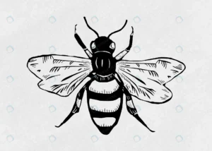 vintage bee insect linocut stencil pattern clipar crc5c9aa894 size12.42mb - title:Home - اورچین فایل - format: - sku: - keywords: p_id:18