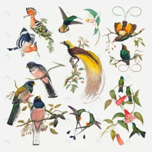 vintage bird vector animal art print set remixed crc9ee02098 size15.42mb 1 - title:Home - اورچین فایل - format: - sku: - keywords: p_id:18