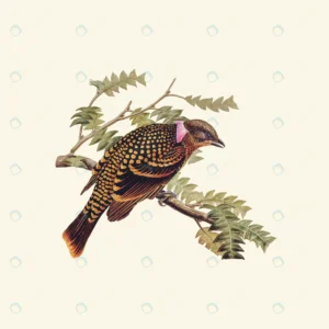 vintage hand drawn vector realistic bird 2 2 crcef072362 size9.93mb 1 - title:Home - اورچین فایل - format: - sku: - keywords: p_id:18