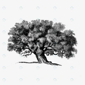 vintage tree illustration crc82ff3de9 size14.29mb 1 - title:Home - اورچین فایل - format: - sku: - keywords: p_id:18