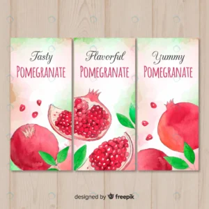 watercolor pomegranate banners crccdbcbd55 size19.06mb - title:Home - اورچین فایل - format: - sku: - keywords: p_id:18