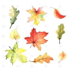 watercolor set colorful autumn leaves rnd359 frp19090366 - title:Home - اورچین فایل - format: - sku: - keywords: p_id:18