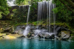 waterfall forest phu kradueng national park loei crc653857af size14.39mb 5302x3535 - title:Home - اورچین فایل - format: - sku: - keywords: p_id:18