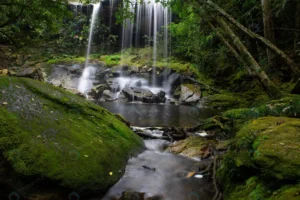 waterfall forest phukradung national park loei pr crc2c4dfee6 size17.12mb 5472x3648 - title:Home - اورچین فایل - format: - sku: - keywords: p_id:18