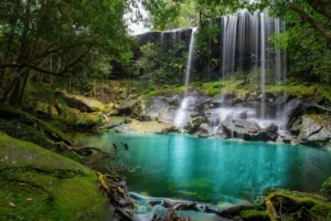 waterfall forest phukradung national park loei pr crc31caf3df size17.67mb 5472x3648 - title:Home - اورچین فایل - format: - sku: - keywords: p_id:18