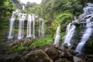 waterfall forest crc7135bd3d size18.53mb 6000x4000 1 - title:Home - اورچین فایل - format: - sku: - keywords: p_id:18